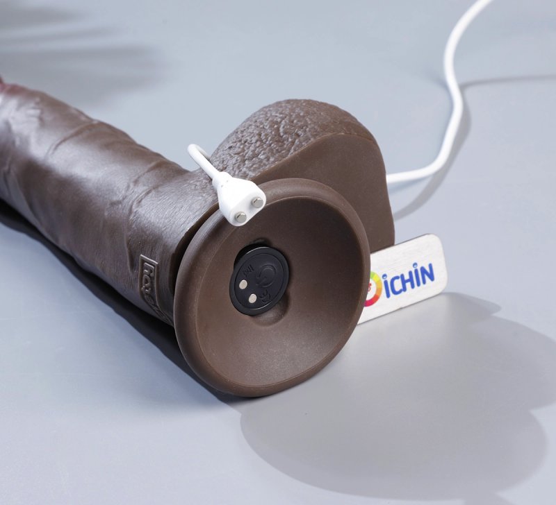 Chân sạc từ tính