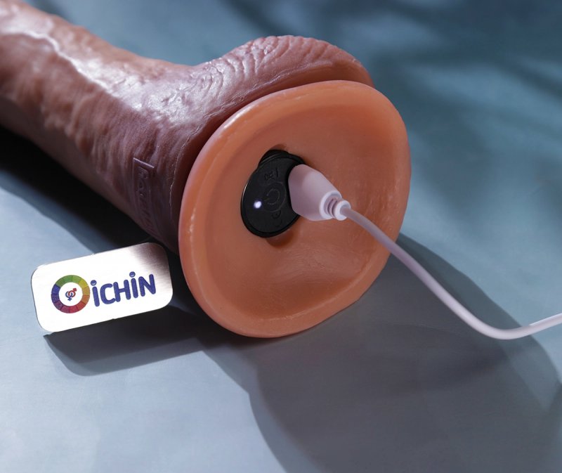 Cắm sạc để sạc cu giả