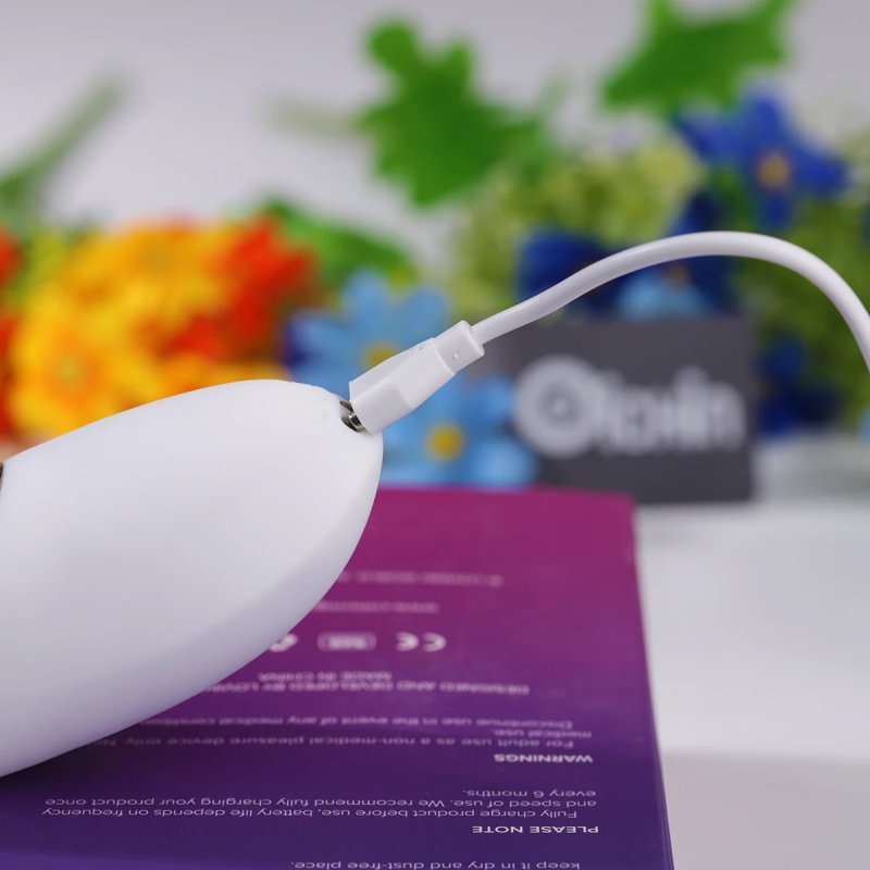 Cắm sạc từ tính