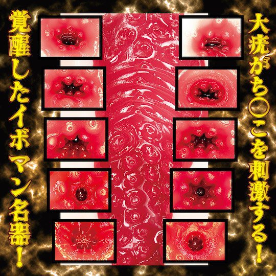 Onahole NPG Niko Kawagoe Meiki Awakening âm đạo giả Nhật Bản