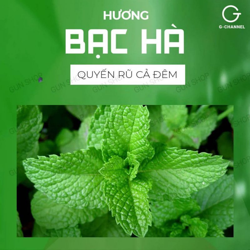 Bao cao su OKHQ hương bạc hà hộp 144 cái siêu mát, an toàn