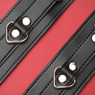 Set quà Svakom bạo dâm chính hãng Mỹ kích thích đam mê