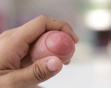 Lovetoy 8 inch dương vật giả dày dặn bền bỉ gắn tường