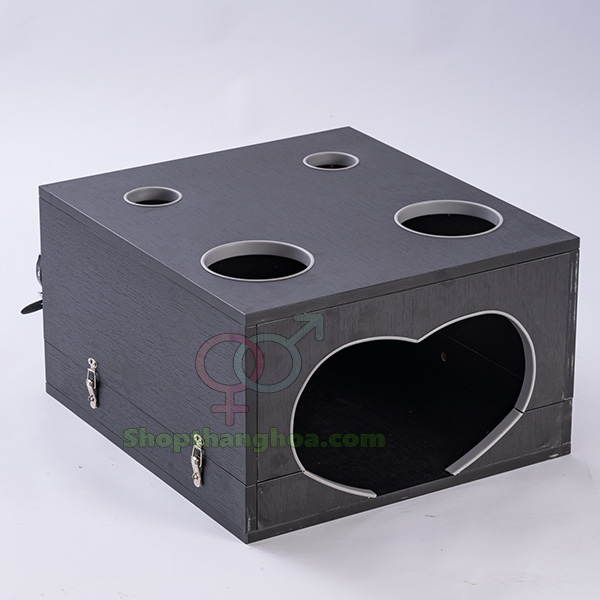 Kho sỉ Đồ chơi bạo dâm hộp gỗ trừng phạt người bạn tình hàng xách tay