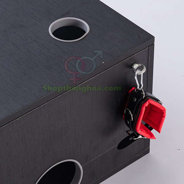 Kho sỉ Đồ chơi bạo dâm hộp gỗ trừng phạt người bạn tình hàng xách tay