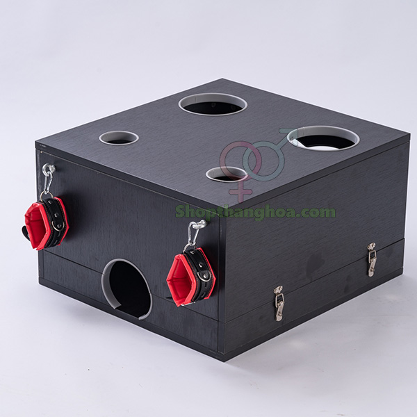 Kho sỉ Đồ chơi bạo dâm hộp gỗ trừng phạt người bạn tình hàng xách tay