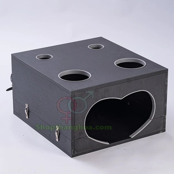Đồ chơi bạo dâm hộp gỗ độc đáo kích thích cảm xúc mạnh