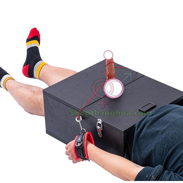 Hộp dụng cụ tra tấn nam độc đáo phong cách nữ hoàng kích thích