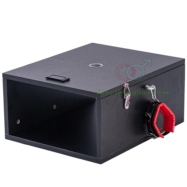 Hộp dụng cụ tra tấn nam độc đáo phong cách nữ hoàng kích thích