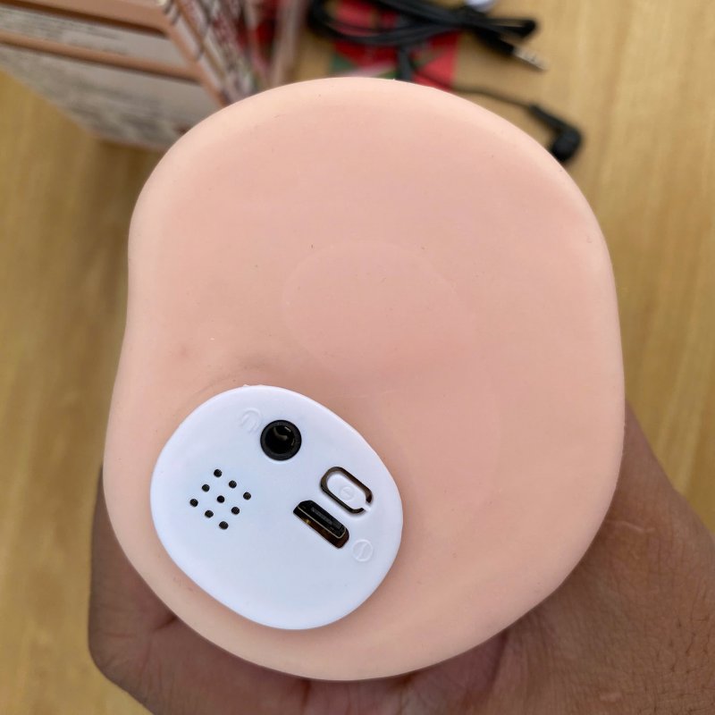 Âm đạo giả như thật silicone trần JIUAI Royal Sister có rung rên