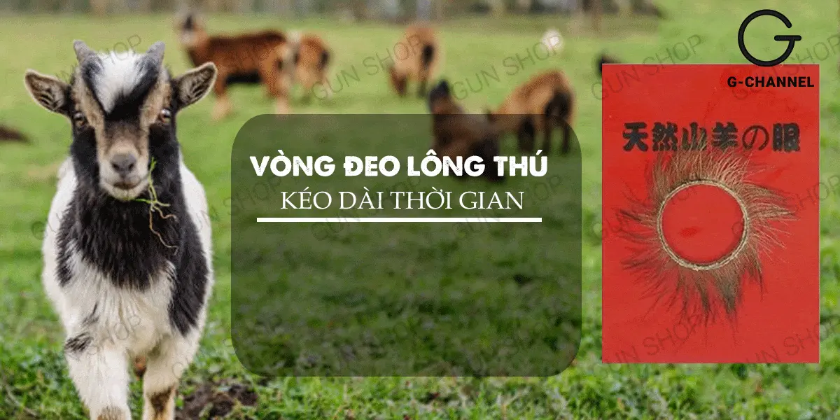 Vòng đeo kéo dài thời gian lông thú — ảnh 2
