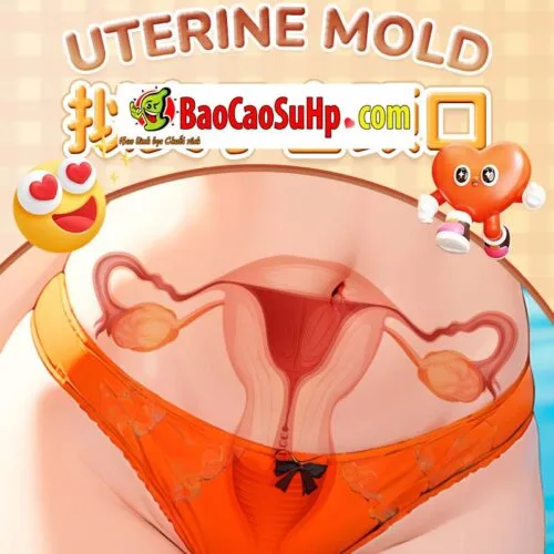 Âm đạo giả mô phỏng tử cung Jiuai Ver 5 Uterine Mold 2kg — ảnh 7