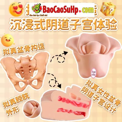 Âm đạo giả mô phỏng tử cung Jiuai Ver 5 Uterine Mold 2kg — ảnh 5