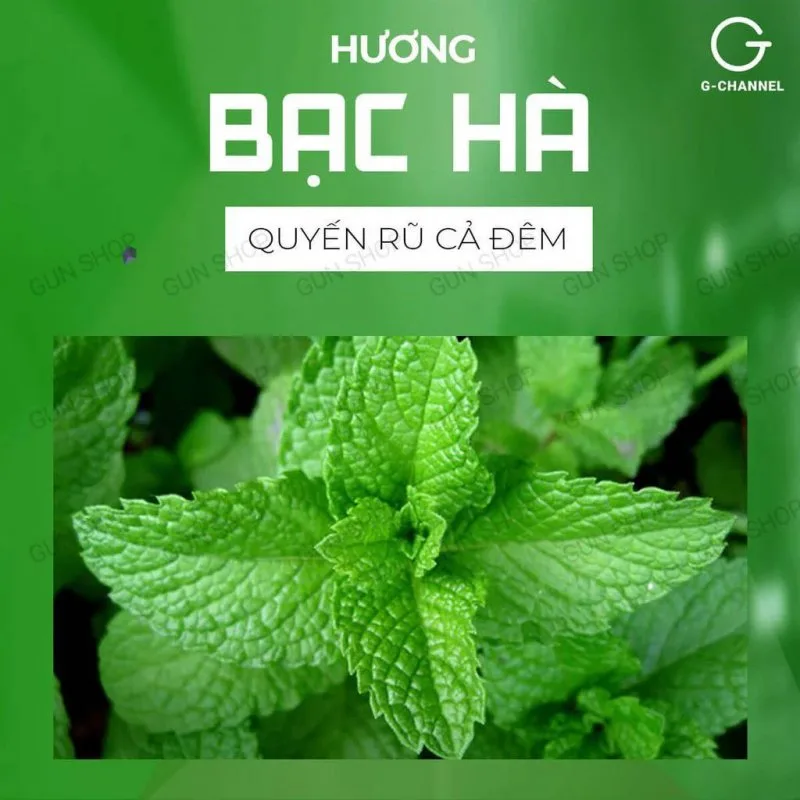 Bao cao su OKHQ hương bạc hà hộp 144 cái siêu mát, an toàn — ảnh 7