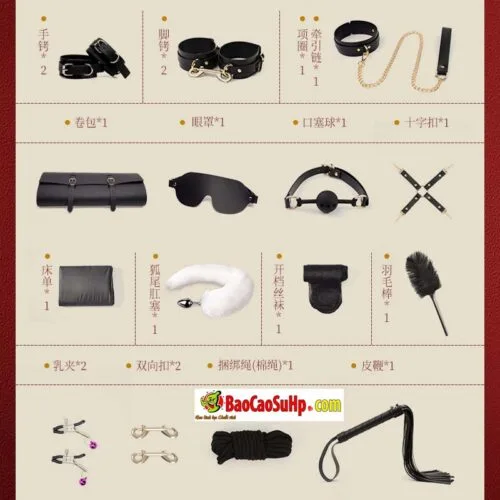 Giới Thiệu Bộ BDSM Mizzzee Asher 15 Món: Tuyệt Tác Khai Phá Quyền Lực và Đam Mê — ảnh 5