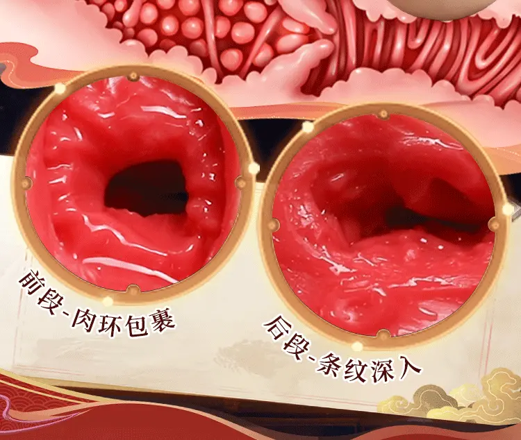 Búp bê tình dục bán thân cao cấp tam đại hoa đán Tam Quốc New Plus V2 TPE kháng khuẩn — ảnh 7