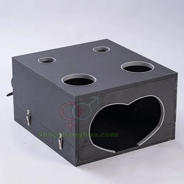 Đồ chơi bạo dâm hộp gỗ độc đáo kích thích cảm xúc mạnh — hình 4