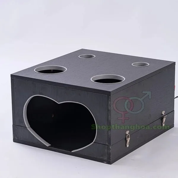 Đồ chơi bạo dâm hộp gỗ độc đáo kích thích cảm xúc mạnh — hình 5