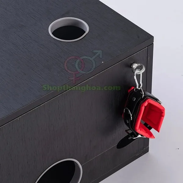 Đồ chơi bạo dâm hộp gỗ độc đáo kích thích cảm xúc mạnh — hình 6