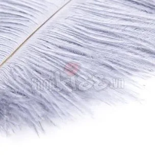 Lông chim đà điểu kích thích khoái cảm phụ kiện bạo dâm sang trọng — ảnh 3