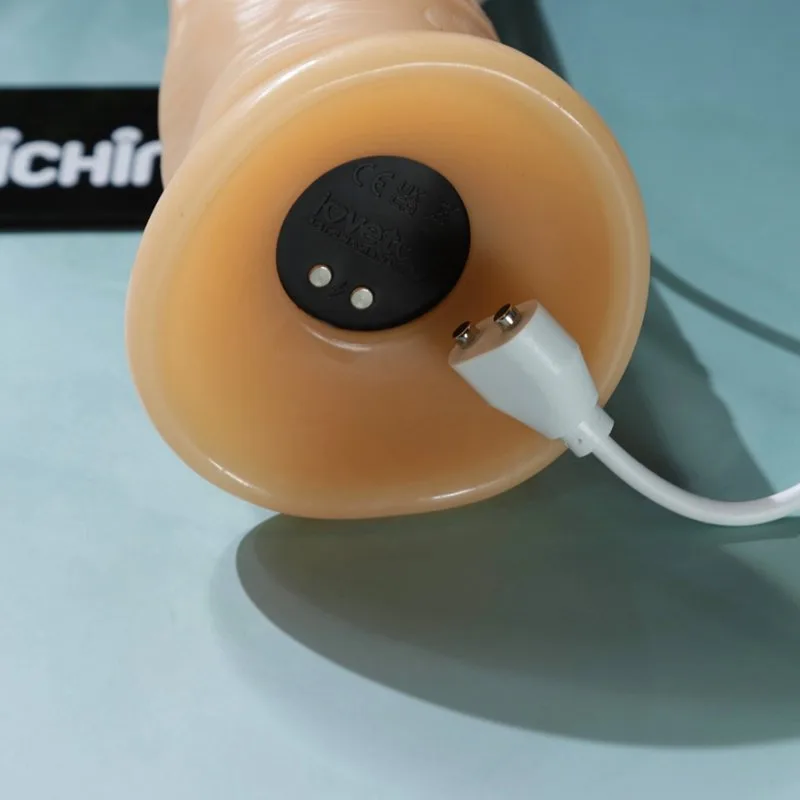 Lovetoy 7 inch Power basics không bìu gắn tường có rung — ảnh 8