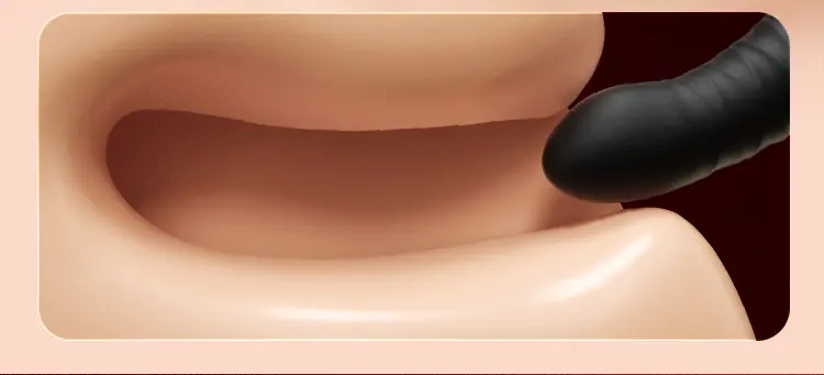 Máy kích thích hậu môn và tuyến tiền liệt cầm tay Mizzzee Horikku thụt và màn LCD Hippu — ảnh 9