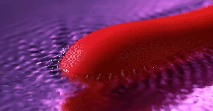 Máy rung lưỡi đa năng kết hợp massage âm đạo, tăng khoái cảm — ảnh 2