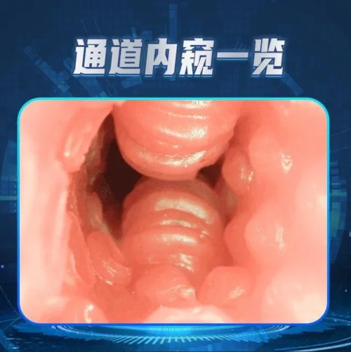 Miệng giả nguyên khối siêu thực COC Zelda: TPE mềm, rung – âm thanh, sạc Type-C, nặng gần 1kg — ảnh 4