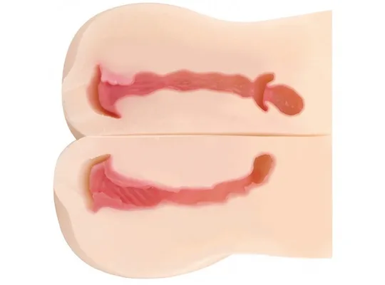 Mông giả đôi RENDS Squishy Sisters 4.3kg 3 lỗ cao cấp Nhật Bản Mông giả đôi RENDS Squishy Sisters 4.3kg 3 lỗ cao cấp Nhật — Thiết kế hai cơ thể – ba trải nghiệm riêng biệt
