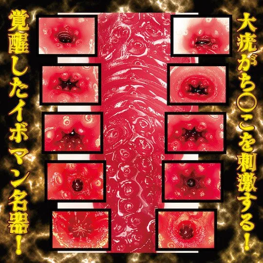Onahole NPG Niko Kawagoe Meiki Awakening âm đạo giả Nhật Bản — ảnh 5