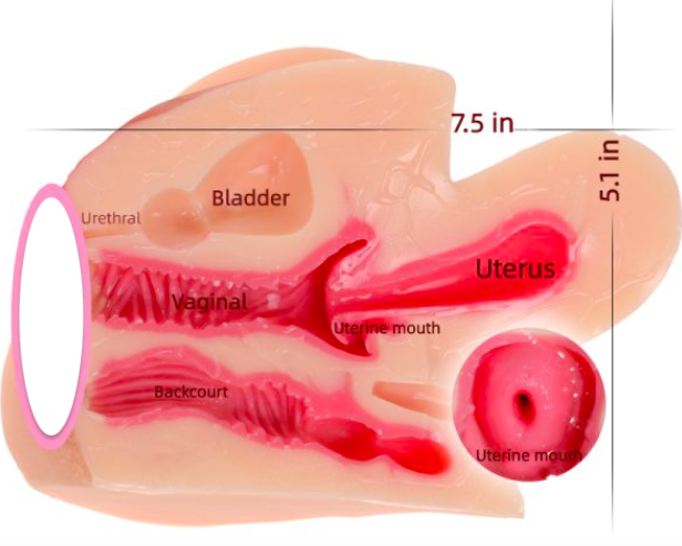 Âm đạo giả ManMiao 3 đầu rung sưởi ấm và cấu trúc tử cung như thật — ảnh 4